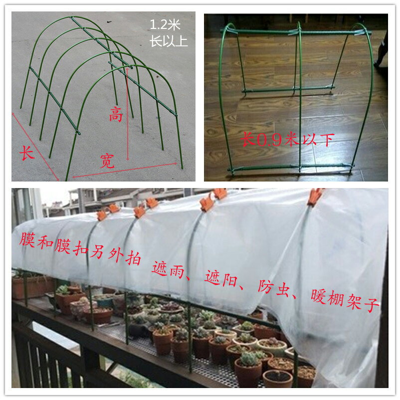 多肉保溫棚遮陽遮雨防蟲大棚支架植物爬藤架陽臺花卉保暖小花房