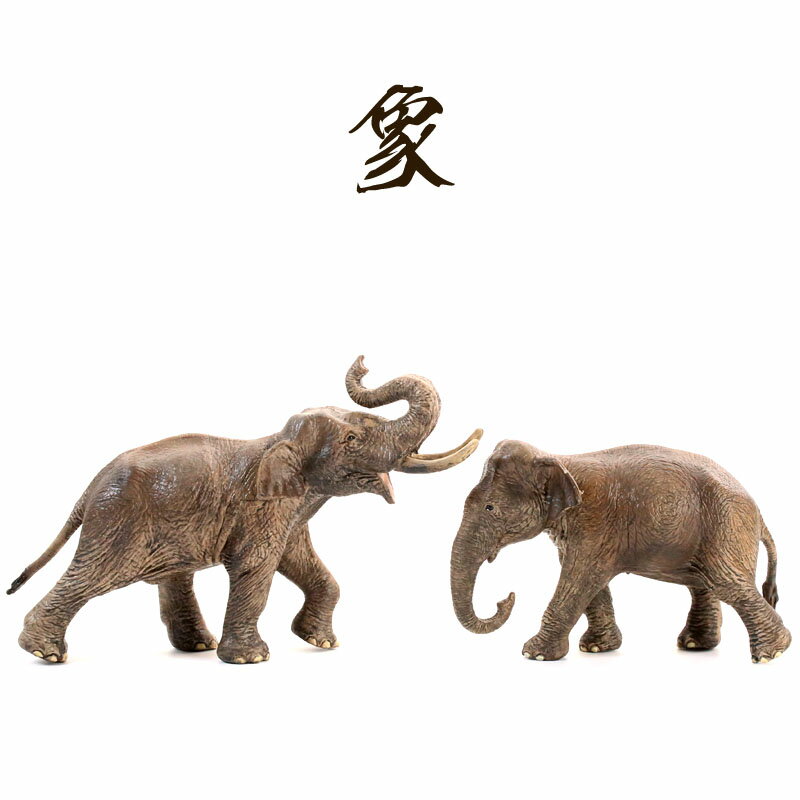 新款大象玩具模型兒童仿真動物非洲象亞洲象