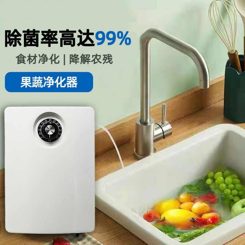 2000mg臭氧發生器家用洗菜消毒機果蔬肉類降解農殘魚缸水池消毒器