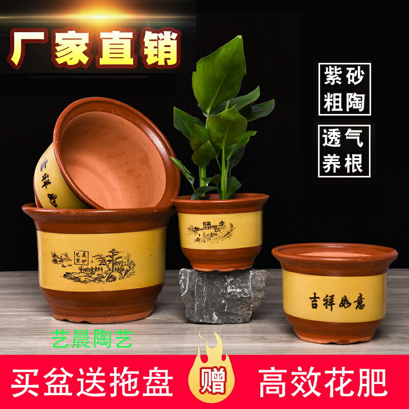 陶瓷花盆特價清倉大號紫砂花盆陶土蘭花盆家用粗陶特大號君子蘭盆