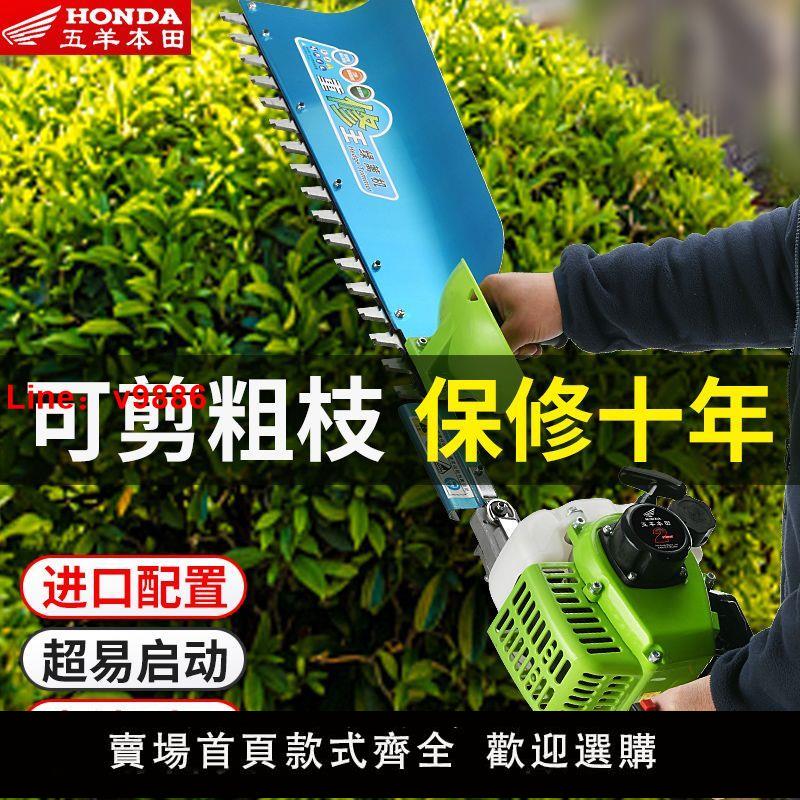【臺灣公司保固】新五羊本田綠籬機大功率汽油修剪機進口茶葉茶樹修枝剪園林綠化剪
