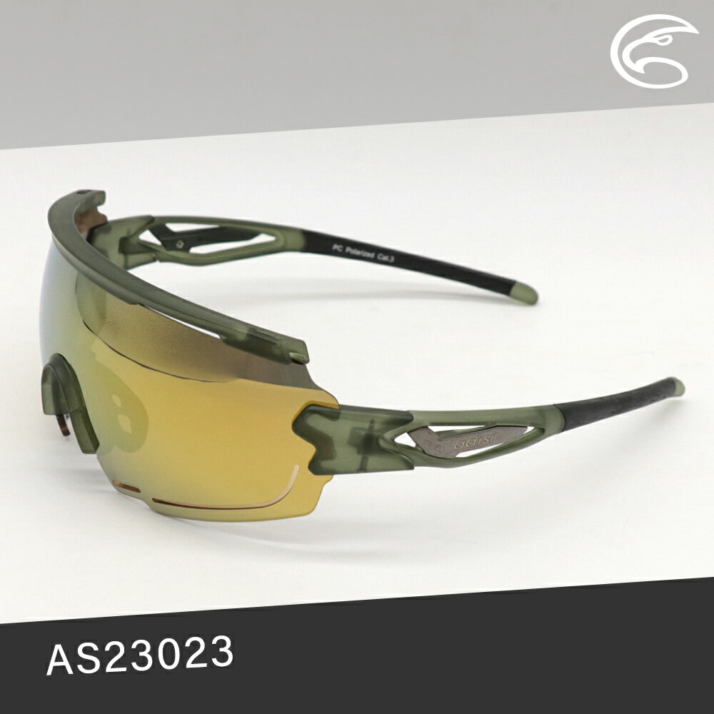 ADISI 偏光太陽眼鏡 AS23023 / 城市綠洲 (墨鏡 抗UV 防紫外線 防眩光)