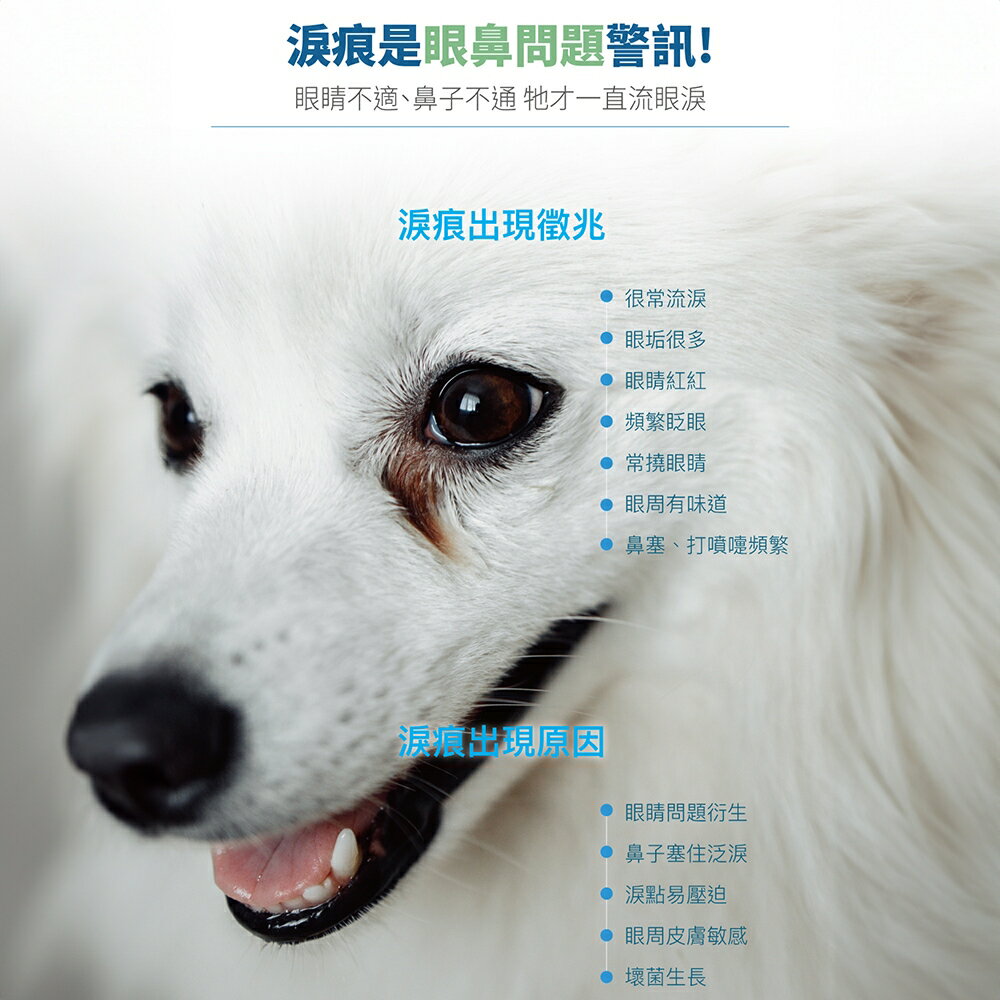 ＵＴＯ｜ 木入森 犬寶痕淨白 專業獸醫推薦 1