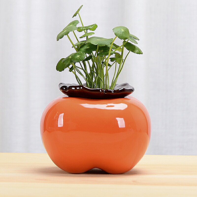 創意柿子花瓶陶瓷水養綠蘿水培花盆花器客廳桌面辦公桌裝飾品擺件