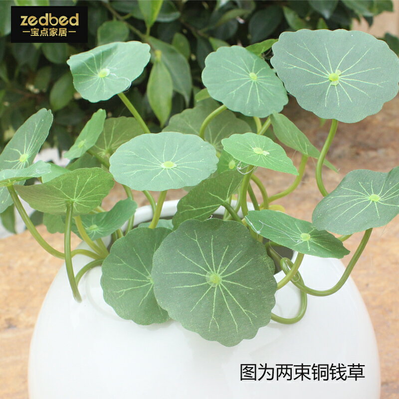 假花仿真花客廳擺設幹花束北歐現代銅錢草尤加利葉桉樹葉北歐風格