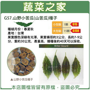 【蔬菜之家】G57.山野小苦瓜(山苦瓜)種子(共有2種包裝可選)