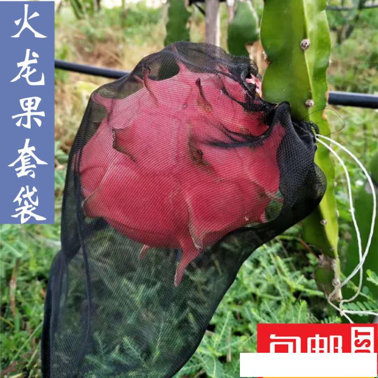 驅鳥器 水果防鳥防果蠅防蟲網袋黑色火龍果專用套袋套果袋規格齊全
