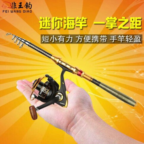 釣魚竿迷你碳素小海竿海桿拋桿磯竿磯釣竿拋竿套裝魚竿路亞竿海釣竿磯桿 居家物語生活館直營店 釣魚竿迷你碳素小海竿海桿拋桿磯竿磯釣竿拋竿套裝魚竿路亞竿海釣竿磯桿 居家物語生活館直營店