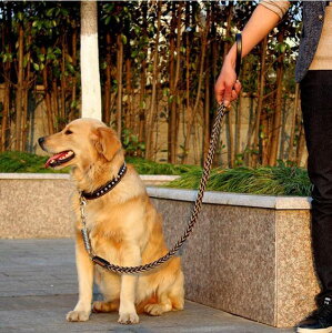 中型大型犬狗狗牽引繩帶金毛拉布拉多牛皮項圈遛狗繩子狗鏈子用品