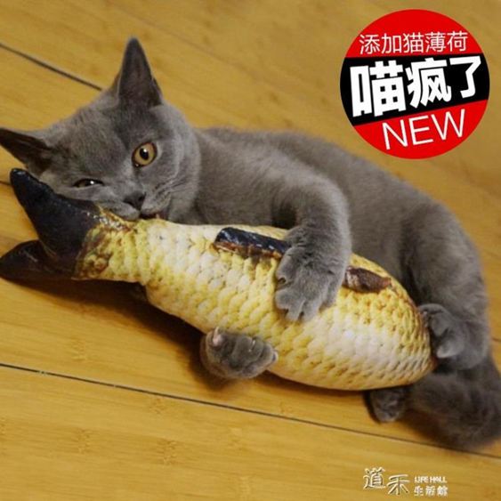逗貓玩具貓薄荷逗貓玩具魚貓抱枕草魚寵物仿真毛絨貓咪魚玩具