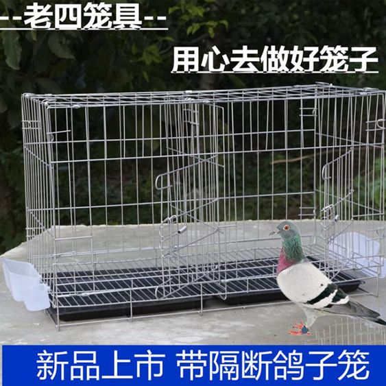 籠子加粗鴿子籠子鴿子用品用具鴿子籠大號雞籠家用鴿子養殖籠子