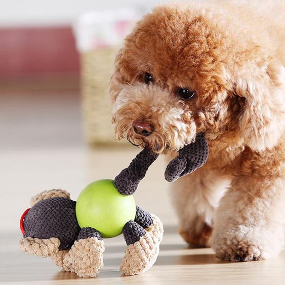 狗狗玩具磨牙發聲小型犬泰迪博美比熊金毛幼犬大型犬耐咬寵物用品