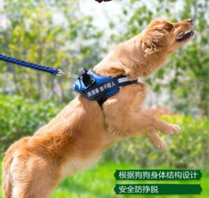 狗狗牽引繩金毛背心式拉布拉多用品大型小中型犬遛狗鏈繩子胸背帶