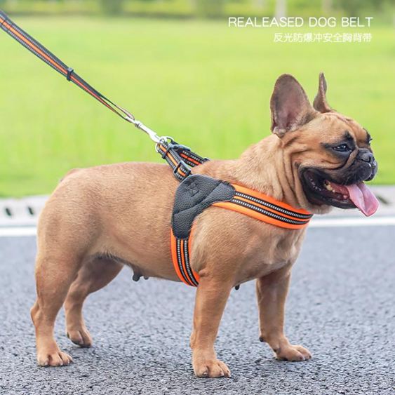 中型小型犬背心式牽引繩狗繩泰迪狗鏈子遛狗繩寵物胸背帶