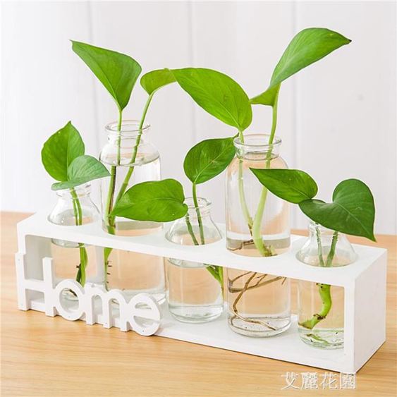 水培小花瓶創意玻璃綠蘿透明小清新水養植物桌面裝飾擺件客廳插花