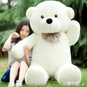 毛絨玩具熊公仔熊貓抱抱熊女生日禮物可愛布娃娃大抱枕玩偶泰迪熊