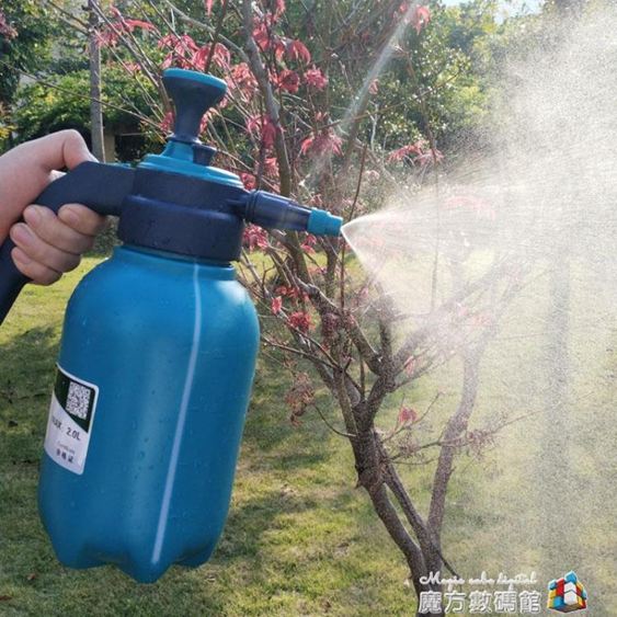 手動氣壓式2L加厚加長桿小型噴霧器噴壺澆水澆花壺灑水壺園藝工具