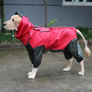 狗狗四腳雨衣金毛薩摩耶中型大型犬邊牧大狗衣服寵物全包防水雨披