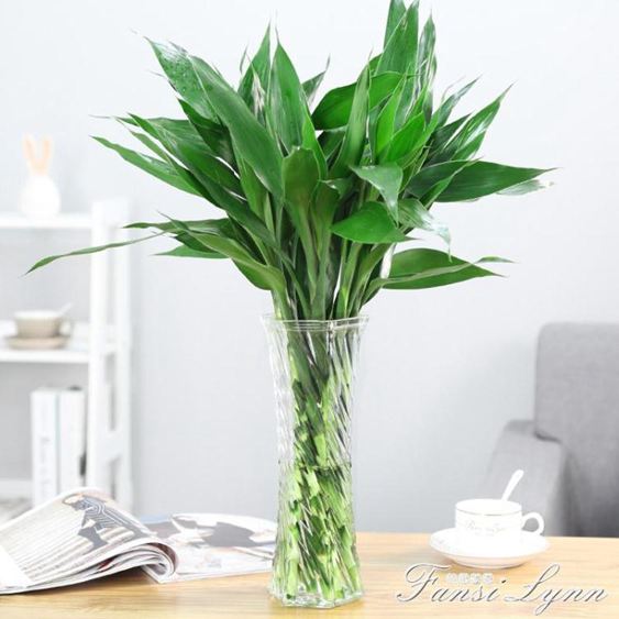 簡約大號玻璃花瓶透明客廳插花水養富貴竹裝飾擺件花瓶