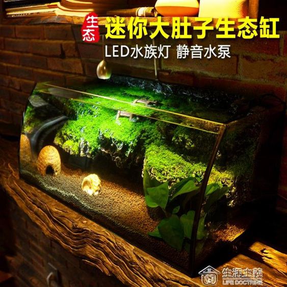 小中型創意桌面家用魚缸生態草缸水陸缸烏龜缸假山造景玻璃水族箱
