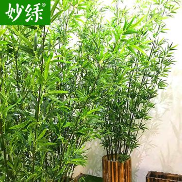 仿真竹子綠植物室內外陽臺裝飾造景人造大盆栽庭院假毛竹隔斷擋墻 居家物語生活館 Rakuten樂天市場