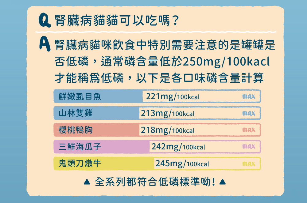 倍力 BLUEBAY 海島貓罐 Chill Island 4入組 主食罐 貓罐頭 幼貓 成貓 全齡貓 80g 8