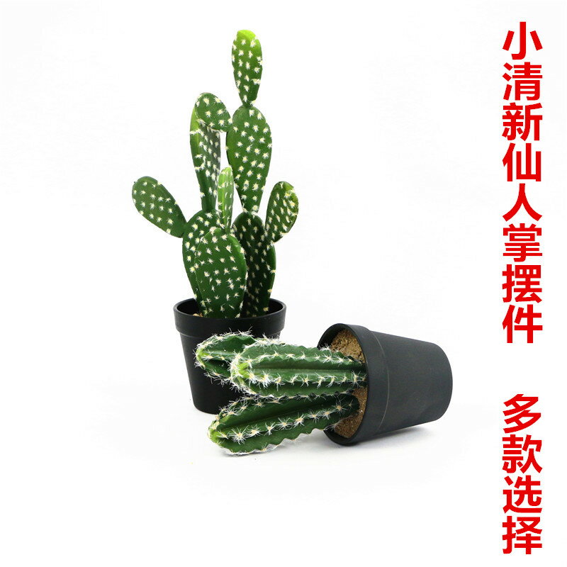 新款攝影道具模擬仙人掌植物仙人球盆栽拍照小清新裝飾綠植擺件