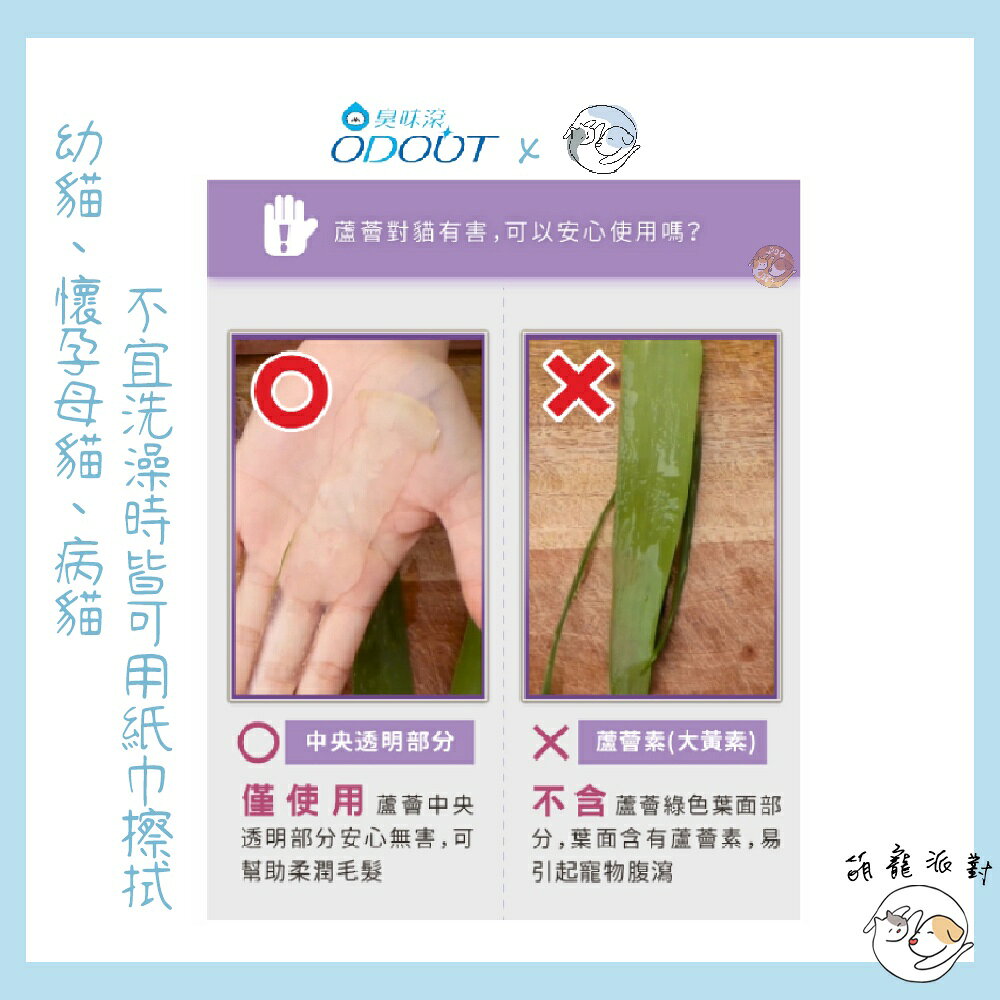 🎁萌寵派對🎁臭味滾 除臭抑菌濕紙巾 50抽 犬用/貓用 濕紙巾 溫和不刺激 純水+蘆薈保濕 幼犬幼貓可用【授權販售】 5