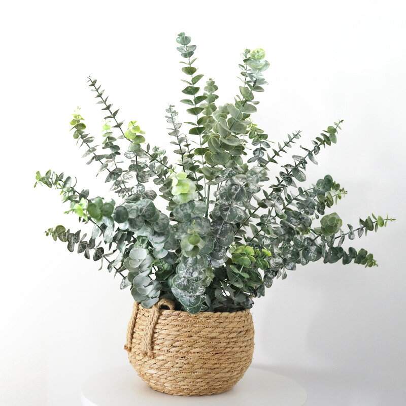 模擬綠植盆栽景觀植物尤加利葉假花 辦公室裝飾綠植店面櫥窗造景