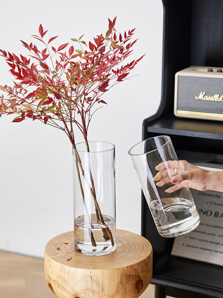 【滿299出貨】玻璃花瓶透明插鮮花水養馬醉木水培富貴竹直筒落地客廳擺件高級感