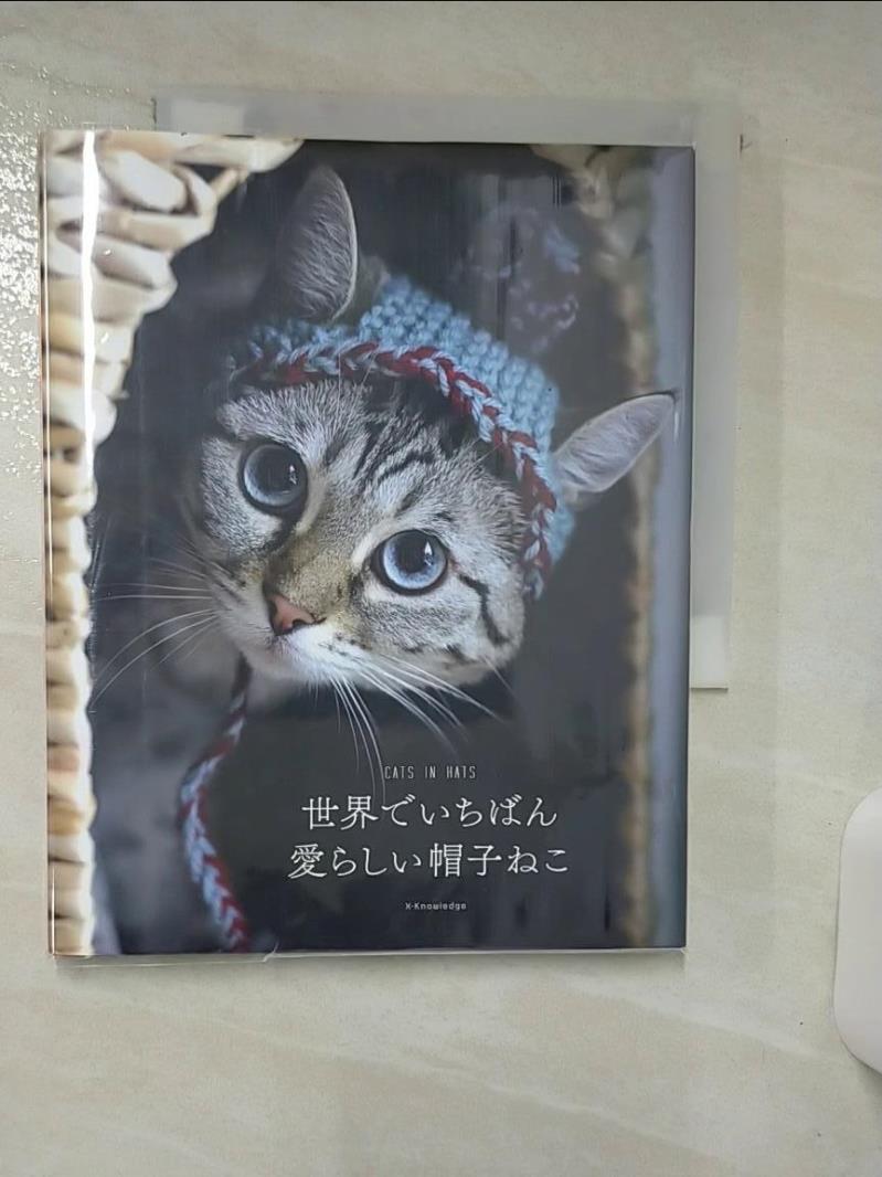 【書寶二手書T1／美工 AY3】世界?????愛???帽子?? 日文 ??????? / 佐藤美?