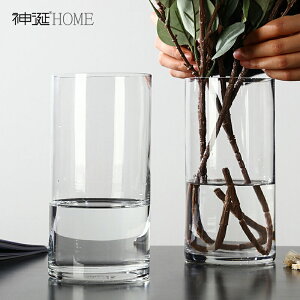 透明玻璃花瓶擺件客廳干花花器輕奢創意簡約北歐水養插花餐桌裝飾