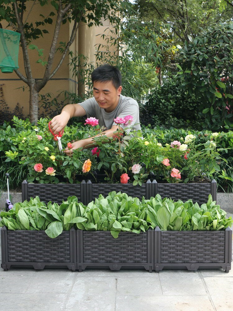 陽臺種菜神器種植箱蔬菜養花盆栽種菜家庭陽臺塑料花盆樓頂菜園箱 協貿國際日用品生活10館 樂天市場rakuten