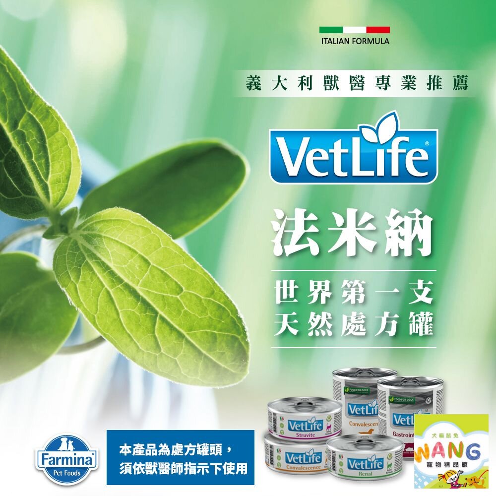 Farmina 法米納｜天然處方犬罐 300g 處方主食罐 處方罐 主食狗罐 狗罐頭 公司貨『🐶🐱Ayumi』【 寵物用品 狂殺 ★ 滿額現抵$480 】請注意 部分出貨時間較長 2