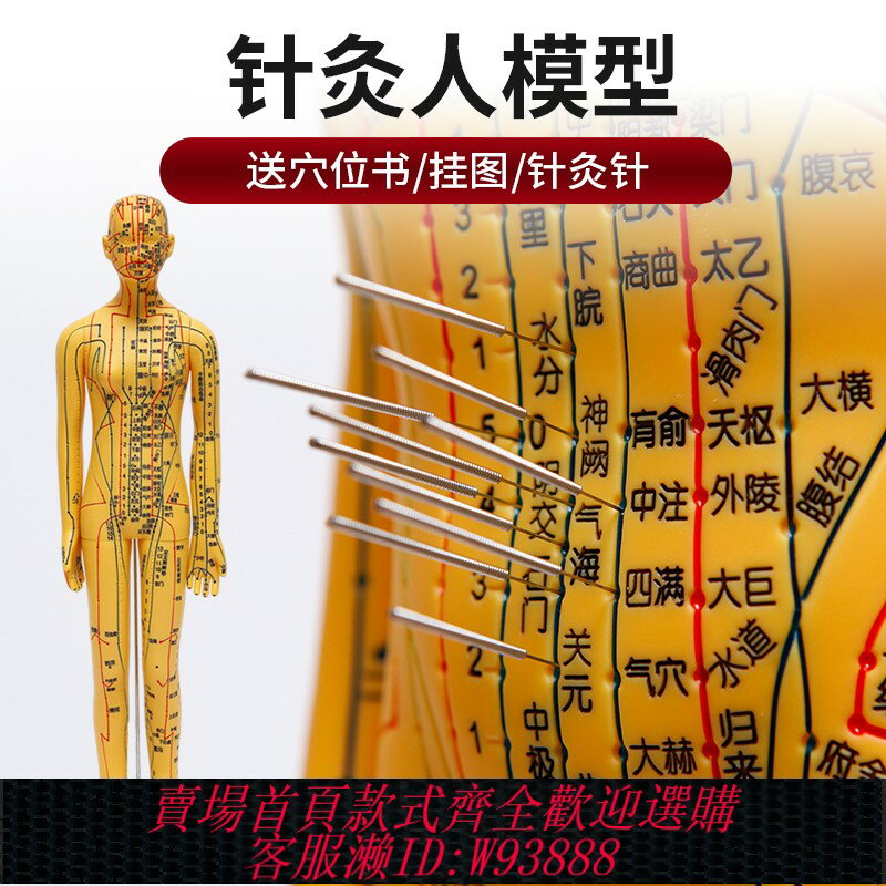 {臺灣公司貨 可打統編}中醫針灸穴位人體模型教學全身十二經絡圖小皮人軟膠扎針練習模特