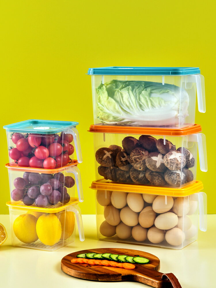 冰箱收納盒長方形帶手柄雞蛋盒冷凍盒廚房收納食品保鮮塑料儲物盒