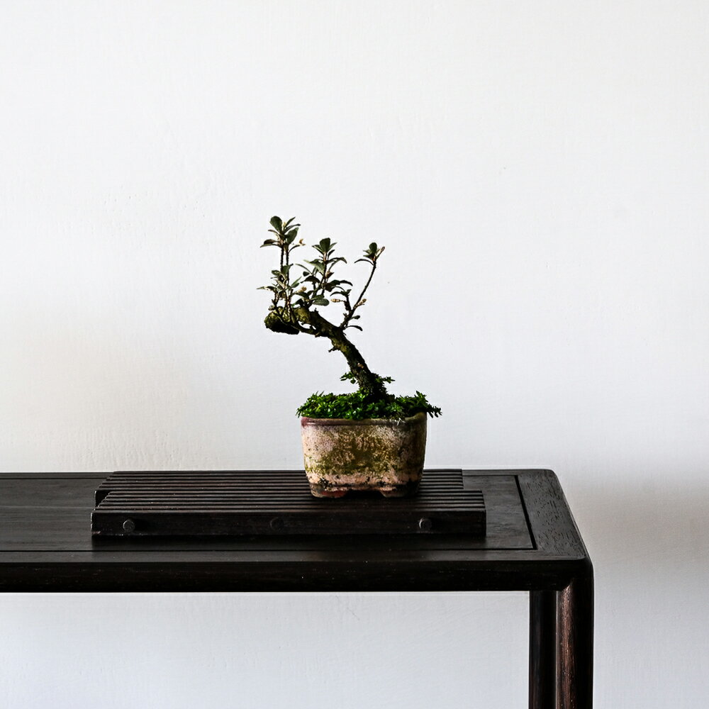 竹拼型花墊花台花架小品盆栽展示台盆栽架展示台竹敷板茶道具茶盤實木製