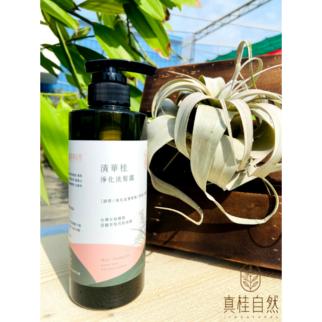 清華桂淨化洗髮露