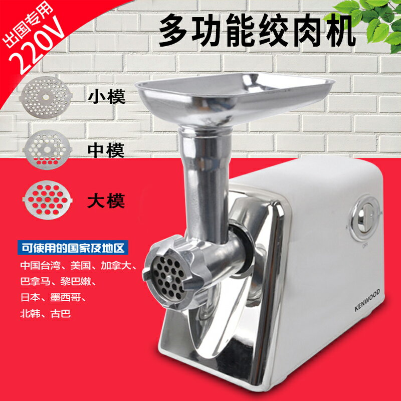 220V伏絞肉機家用小型電動多功能碎肉機攪餡切菜機船用60HZ絞肉機