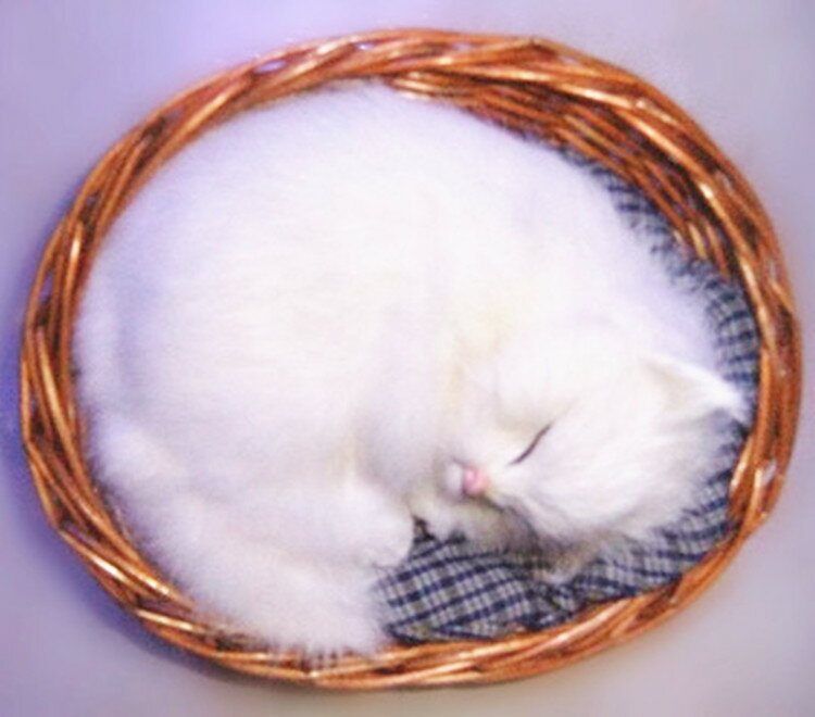 模擬動物模型 模擬貓 睡貓 睡筐貓 白貓 模擬工藝品 攝影道具
