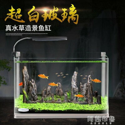 水草缸 21年8月 Rakuten樂天市場 水草缸 21年8月 Rakuten樂天市場