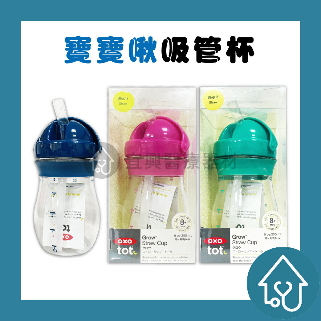 OXO TOT 寶寶啾 吸管杯 250ml : 海軍藍、莓果粉、靚藍綠 學習杯 水杯