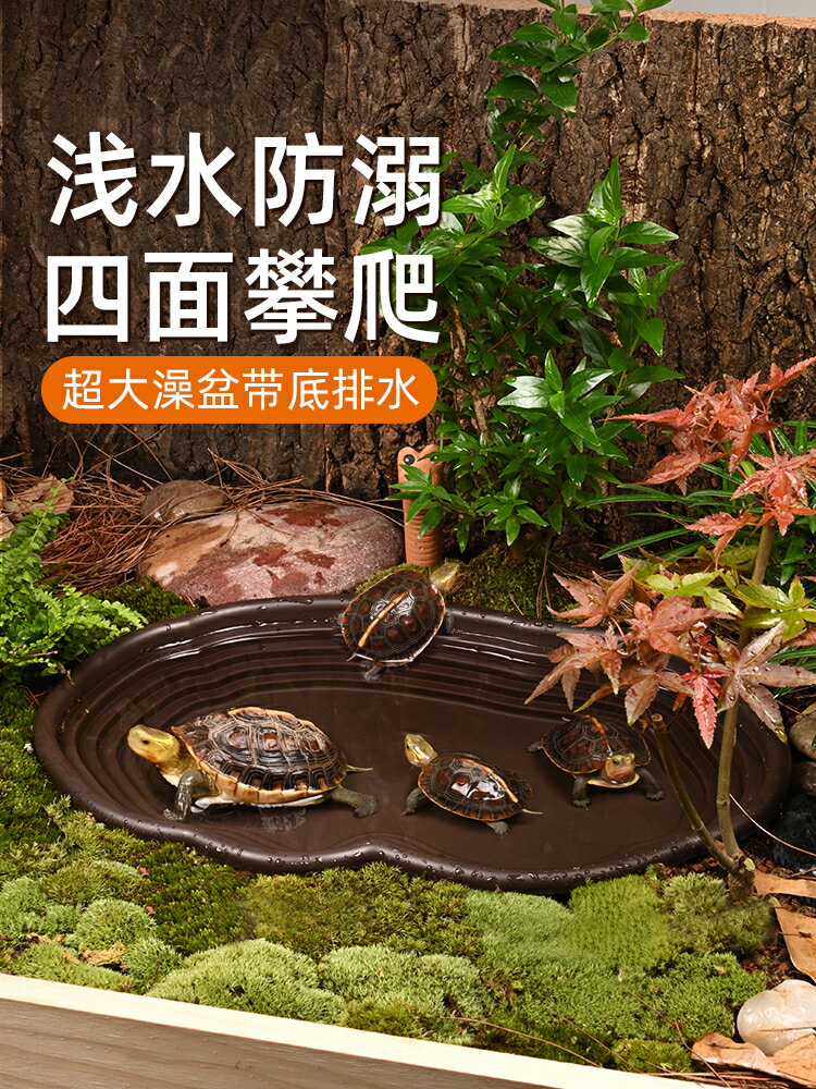 公司貨 免運可開票 黃緣龜專用泡澡盆大型帶爬梯烏龜水盆半水龜生態造景養殖箱用品 快速出貨