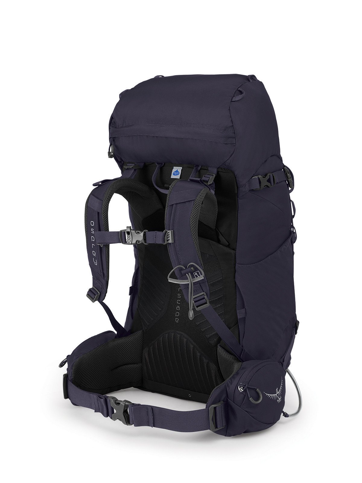 ├登山樂┤ 美國Osprey Kyte 36 輕量登山背包女36L 桑葚紫# 10001839 
