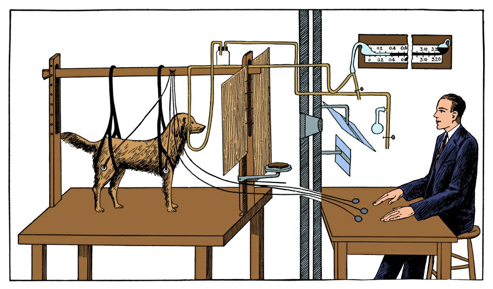 overmier and seligman experiment