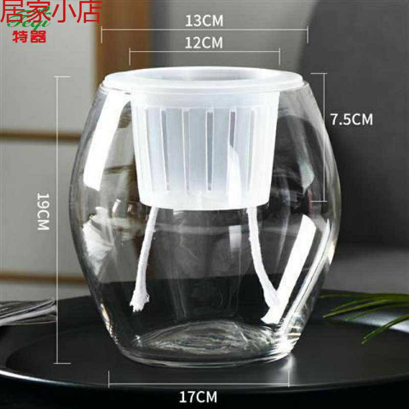 1容器水培玻璃瓶水培植物綠蘿盆栽花盆透明花瓶擺件水養植物器皿1