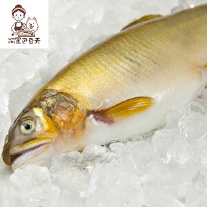 宜蘭公香魚7尾 約1000g±5%