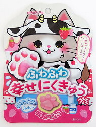 X射線【C228232】Senjaku 草莓牛奶肉掌QQ糖,點心/零嘴/餅乾/糖果/韓國代購/日本糖果/零食/伴手禮/禮盒