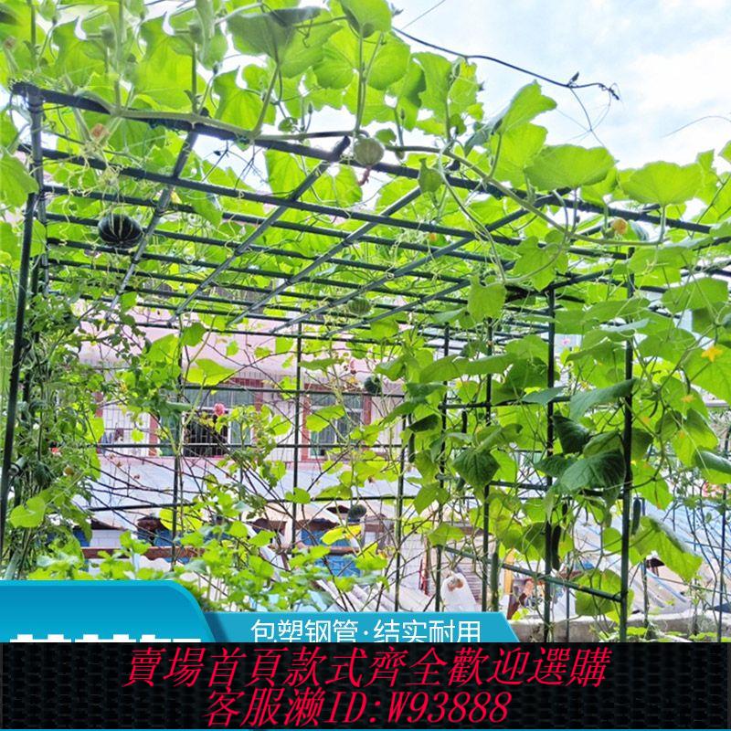 爬藤架 【512次回購】戶外庭院葡萄架組裝支架百香果苦瓜攀爬架鐵藝棚架陽臺植物爬藤架
