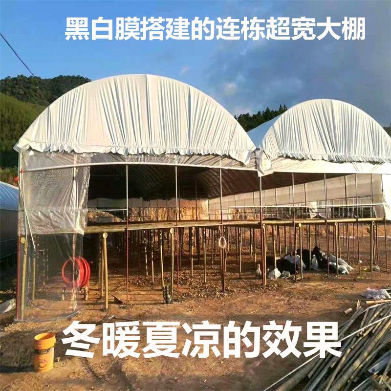 臺灣公司貨 免運 可開票 遮雨棚 雨傘 雨衣 雨鞋 養殖黑白膜加厚防雨布防曬隔熱塑料布防水佈防曬隔熱膜遮陽佈防漏